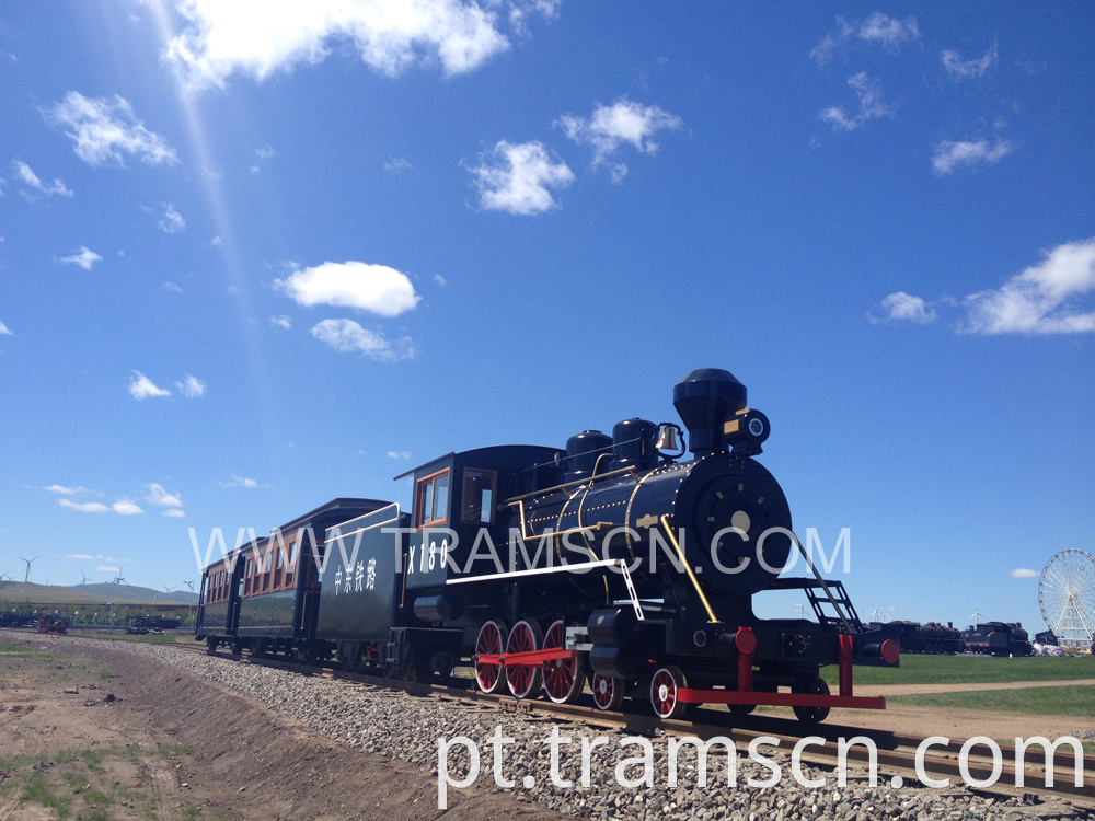 sightseeing train at the middle east blue sky